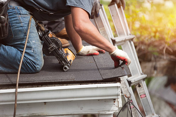 Best Metal Roofing Contractor  in Greenwood, IN